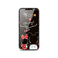 FC-20 Black Mickey Minnie