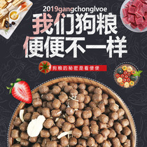 Dog food general-purpose bear Teddy pup Koji Schnauer adult dog freeze-dried meat grain grain whole dog breed chicken puppy