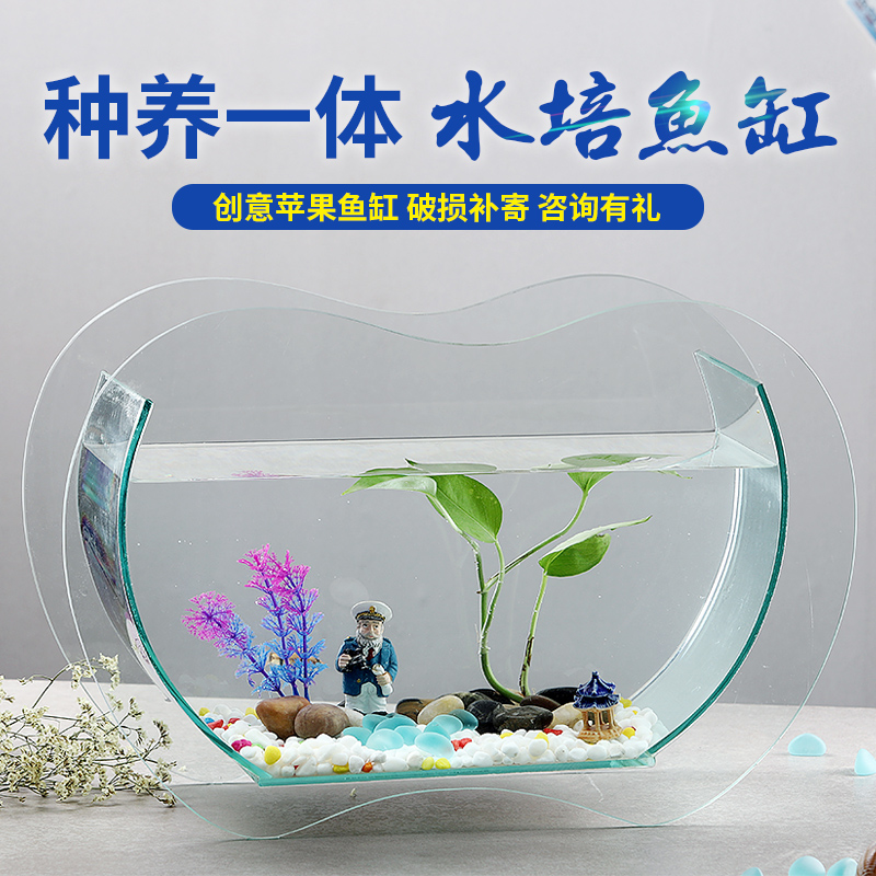 Office small fish tank thickened transparent glass turtle tank living room home round small goldfish tank apple shape