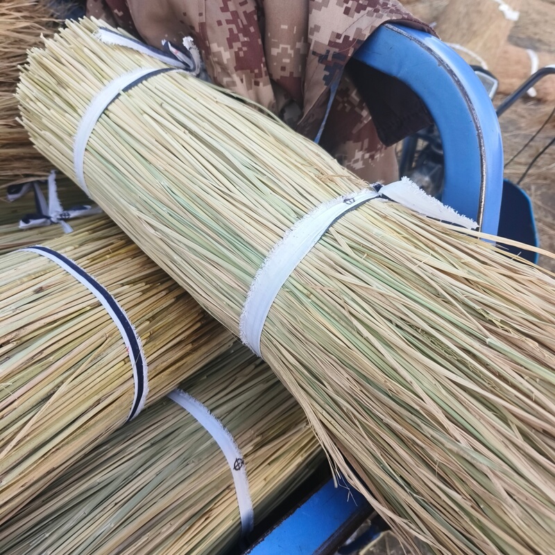 New Straw, Natural Straw, Premium Straw, Straw for Moldy Tofu, Straw for Pets, Straw Curtains, Straw Mats, Straw Coverings New Straw, Natural Straw, Premium Straw, Straw for Moldy Tofu, Straw for Pets, Straw Curtains, Straw Mats, Straw Coverings