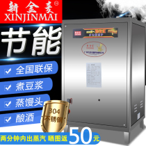 Commercial gas steam generator Automatic steam engine Tofu soy milk brewing steamed bread Natural gas energy-saving boiler