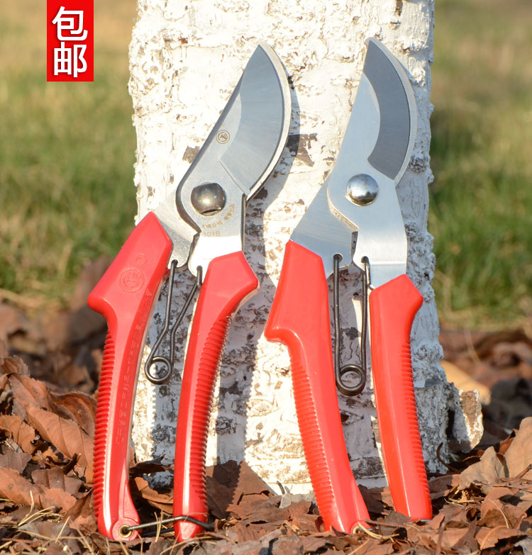 Landscaped flower wood trim green fence cut large scissors gardening Greening lawn pruner cutting tools fence cutting branches