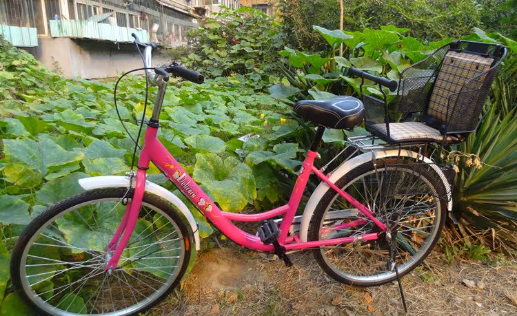 siège enfants pour vélo - Ref 2412801 Image 41