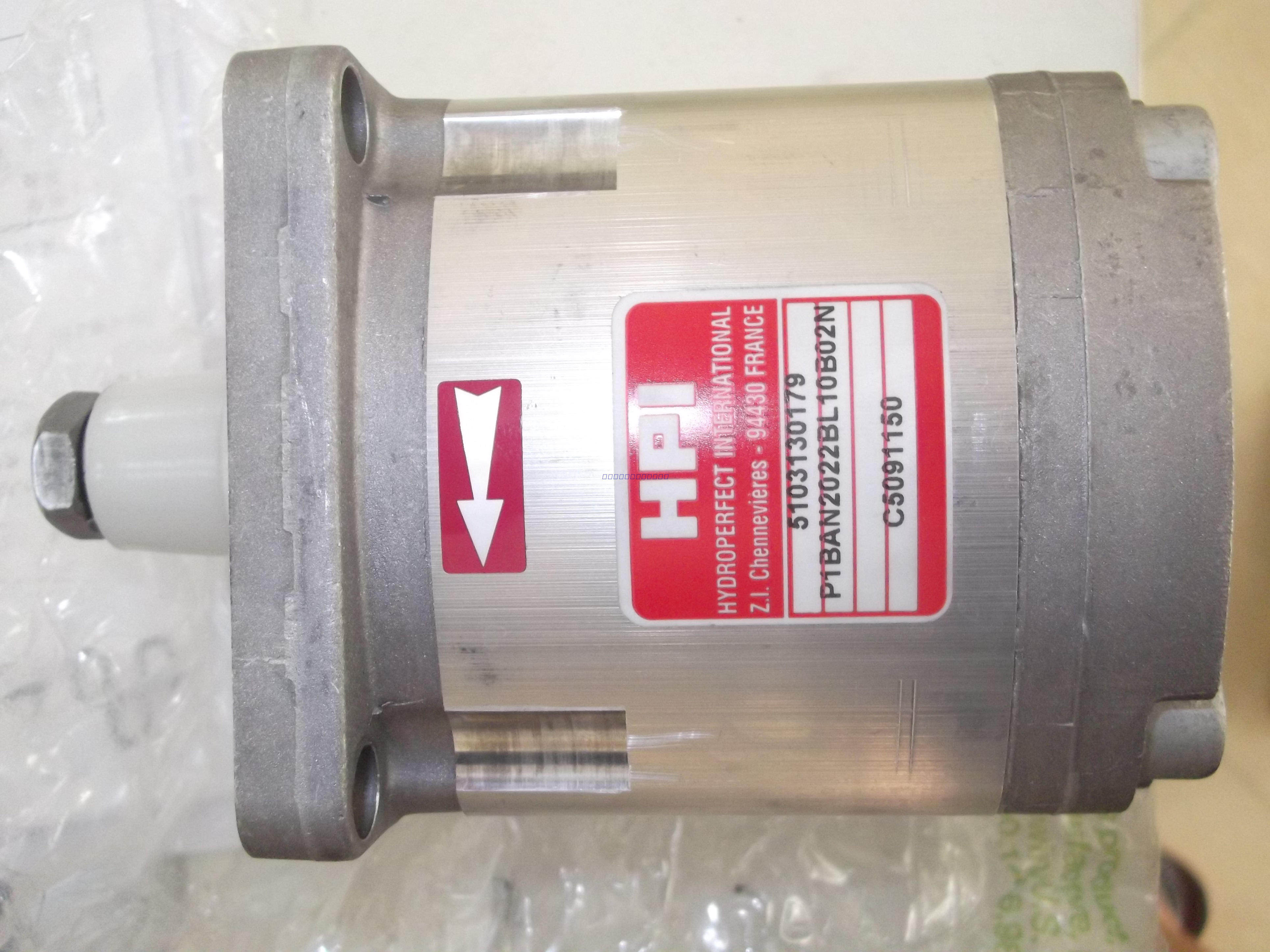 French imported HPI imported high pressure oil pump P1BAN2022BL10B02N