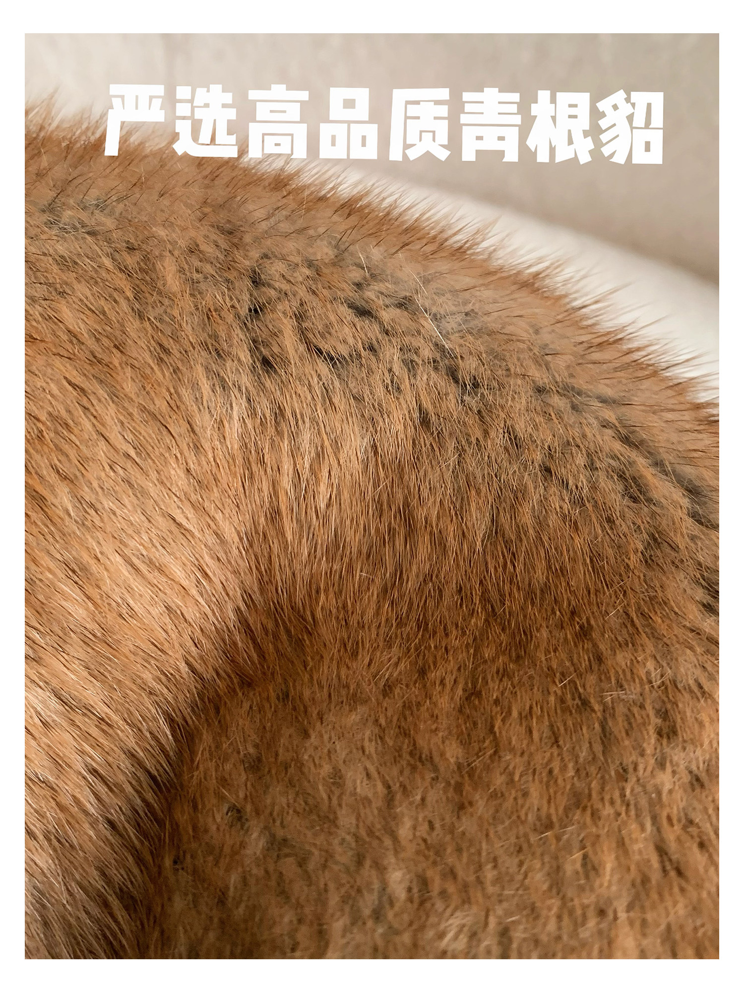  丹丹毛竹圆皮草 