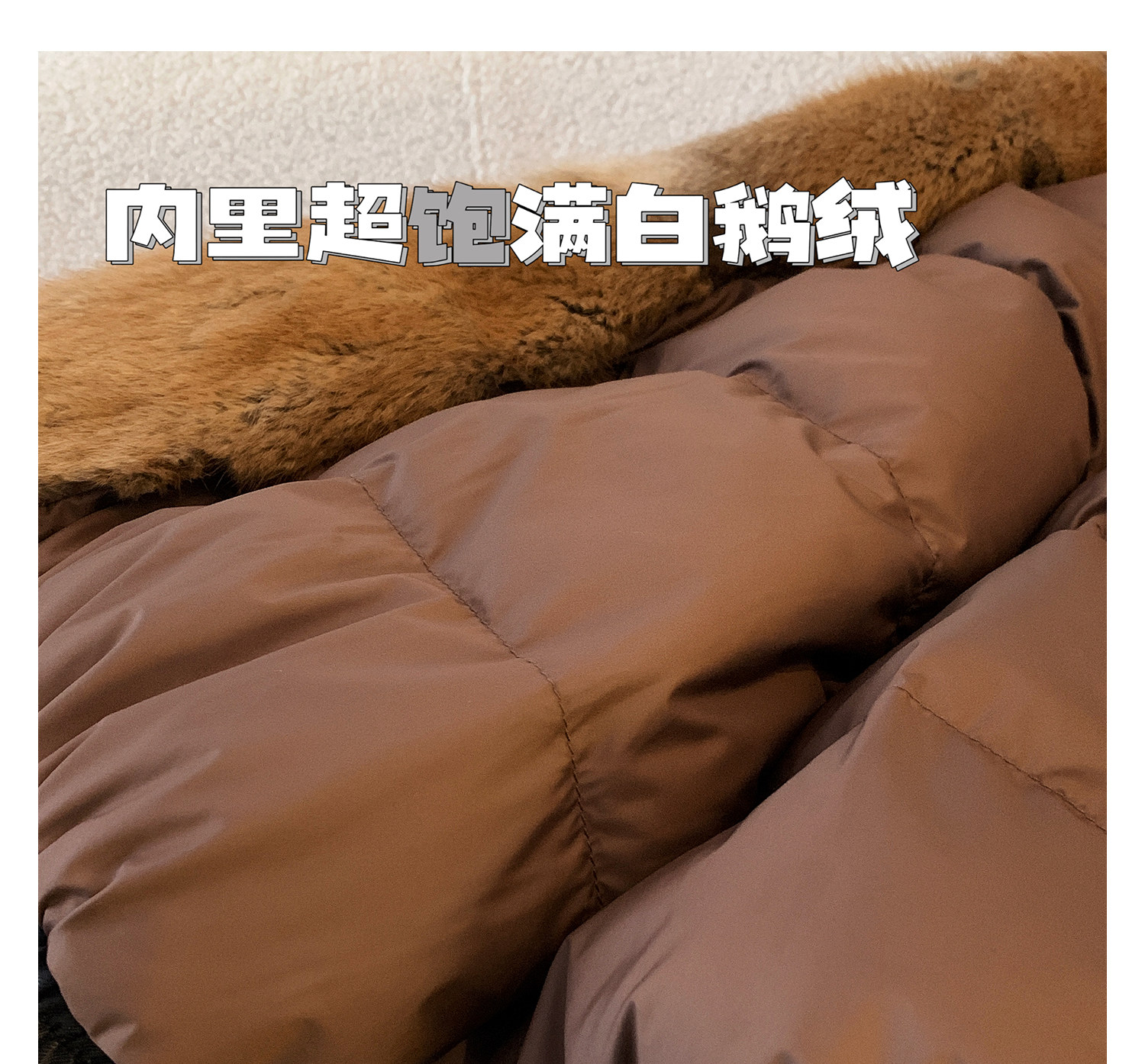  丹丹毛竹圆皮草 