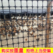 Plastic grid breeding net fence Stop Chicken Fence Small Hole Raised Chicken Web Fencing Fence Net Protective Segregated net Home Leaking Manure