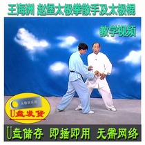 Wang Haizhou Zhaobao Tai Chi Sanshou and stick USB flash drive video Wang Changqing explains and teaches 65 stick skills