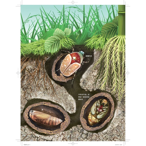 Научно-популярная энциклопедия для друга для раннего возраста для школьников, познавательная книга с картинками, материалы для чтения, полный комплект, подходит для подростков, наука, обучение