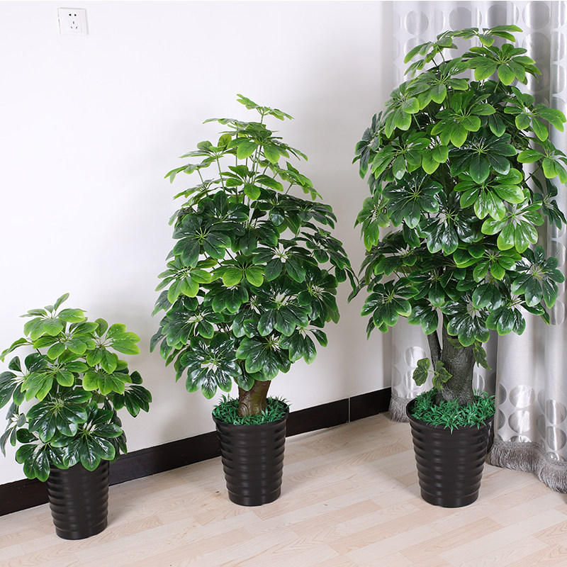 Simulation Plant Bonsai Green Plant Money Rich Tree Simulation Large Bonsai Living Room Decoration Plastic Decoration Floor Fake Flower