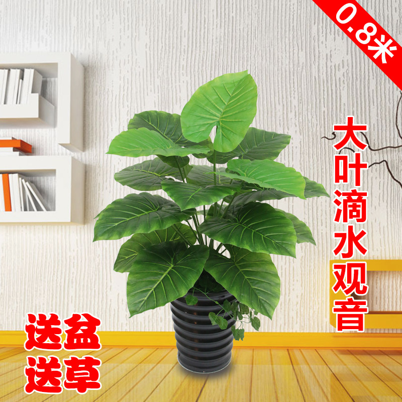 Simulation of small green plant drop water pot pot pot view living room indoor and outdoor decoration plastic flower