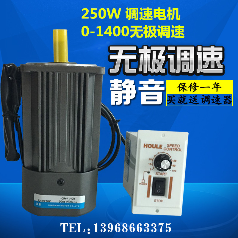 Home Throttle Motor Electric Reducer 250W Electric Motor Speed Regulator Alternating Current Mute