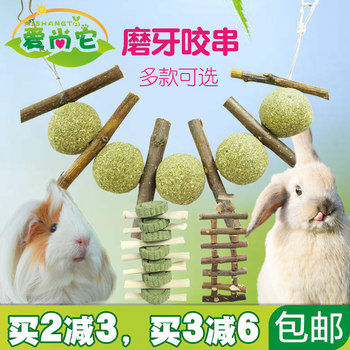 Apple branch sweet bamboo grass cake teething guinea pig