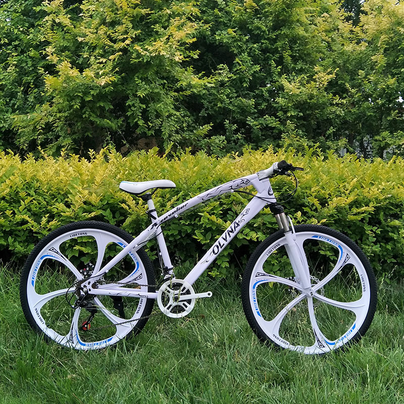 New Lightweight Mountain Bike, Men's and Women's Variable Speed Bike, Student Off-Road Racing Bike, Adult Double Disc Brake Shock-Absorbing Bicycle
