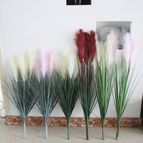Reed grass simulation flower dried flower dog tail grass living room Nordic plant potted fake green plant decoration floor decoration