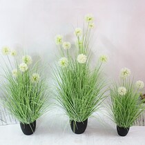 Simulation plant dandelion reed large potted onion fake grass cattail landing green plant Nordic home decoration