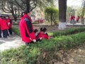 花舞小枝5022