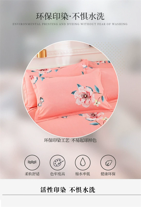 100% cotton chải bốn mảnh dày ngủ trần bộ đồ giường cotton nhà dệt chăn bao gồm tờ mùa thu và mùa đông - Bộ đồ giường bốn mảnh