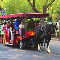 Custom Tianjin Fifth Avenue scenic electric sightseeing trailer train film and television props Fangyu carriage hot sale