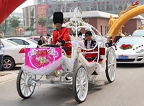 Custom European royal princess pumpkin Cinderella Wedding photography Scenic spot sightseeing tour real estate reception carriage