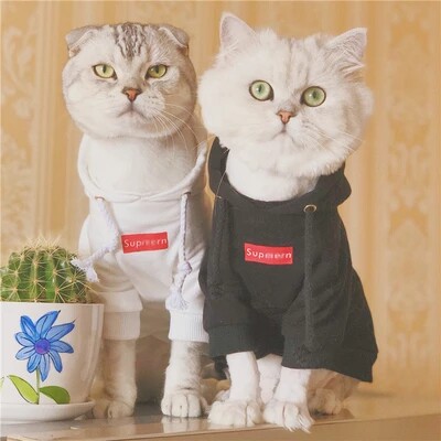 Pet Sweater Supreme Dog Clothes Cat Fadou Teddy Sweater Pet Tide Brand Pet Trend Clothes