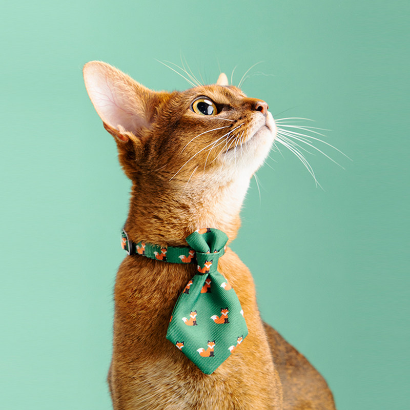 pidan anti - choking cat tie - tie cat scarf cat - cat collar adjustable collar