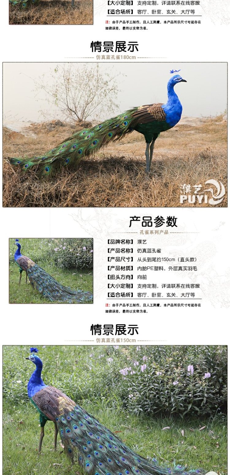 仿真孔雀工艺品摆件橱窗家居装饰蓝白孔雀标本真羽毛开屏孔雀道具 虎窝淘 仿真孔雀工艺品摆件橱窗家居装饰蓝白孔雀标本真羽毛开屏孔雀道具 虎窝淘