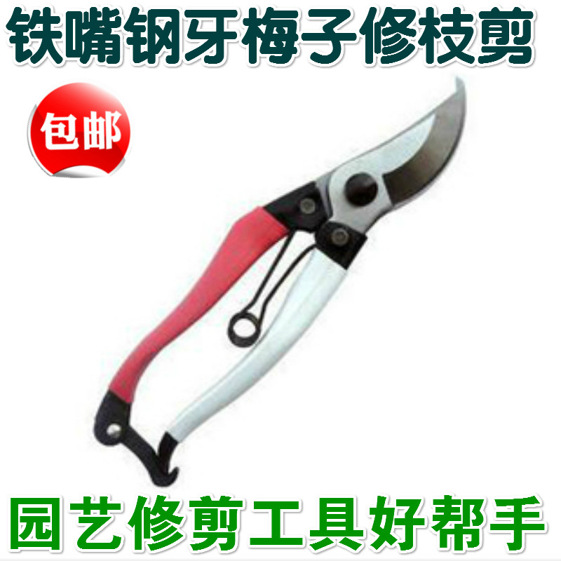 Garden tools Pruning shears Garden supplies Trimming flowers and trees branches Picking fruit grape scissors