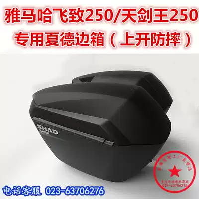 Feizhi 250 side box tail box Tianjian King 250 side box rear cargo box Shade side box tail box tail frame