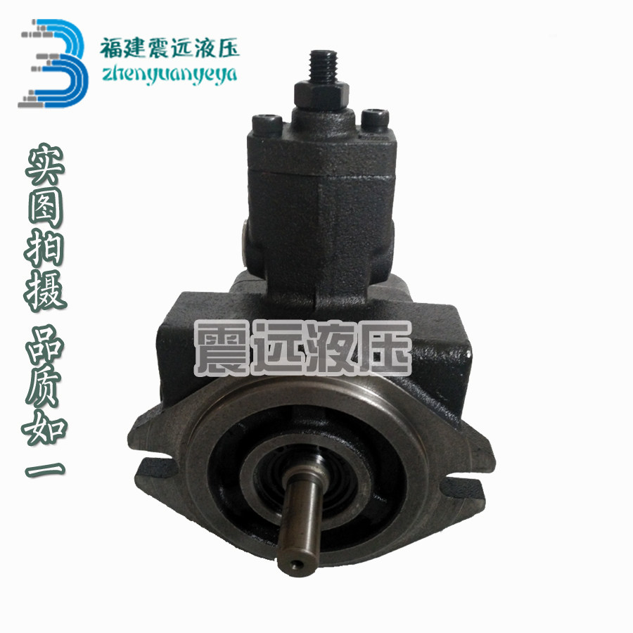 VP Pump Hydraulic Oil Pump Blade Pump VP08 12 15 20FA3 VPSF30 40FA3