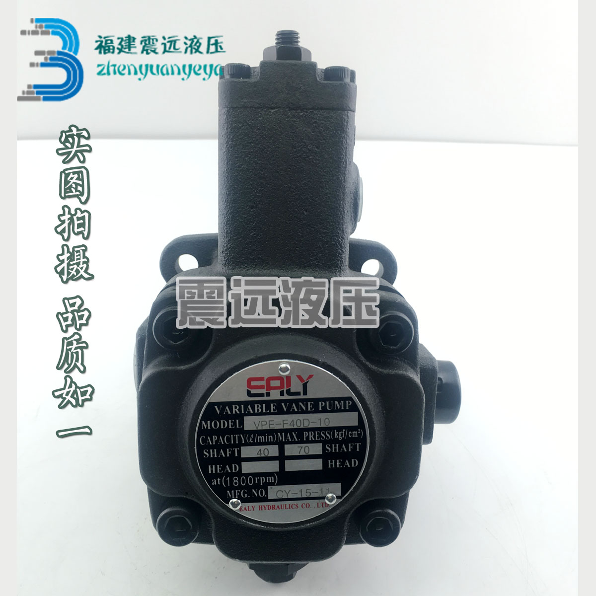 EALY Taiwan Cruise Force Hydraulic Pump Station System Oil Pump VPE-F30A-10 Hydraulic Pump VPE-F35A-10