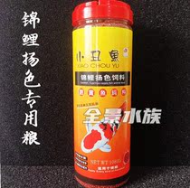 Clownfish koi carp color feed bred green germ cold water ornamental fish goldfish color increase body fish food fish food