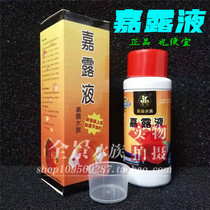 Jialu liquid colorful fairy fish with rotten tail rotten fin rotten gills vertical scales black cleaning tank dug up fish tank black rehabilitation