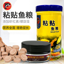 Dolphin paste compound feed Small fish food patch fish food fish feed tropical small fish lamp family guppies feed