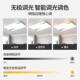 New Chinese-Style Rural Self-Built House Living Room Lamp, Grand Main Light, 2026 New Model, Ultra-Bright Dining Room Home Smart Bedroom