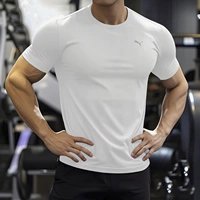 Puma белый/100% полиэфирное волокно ~ сетчатые вентиляционные отверстия [рекомендуется брать на размер больше]