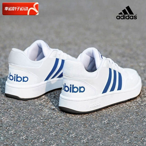 Adidas, весенняя спортивная обувь для отдыха, низкие синие кроссовки