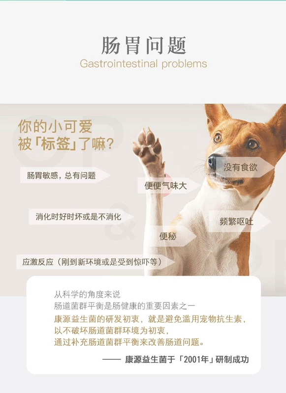 Yêu quý Xiang Khang Probiotic 5 túi thú cưng Teddy Golden Hair điều hòa Thức ăn tiêu hóa phân lỏng mèo và chó hôi thối chung - Cat / Dog Health bổ sung