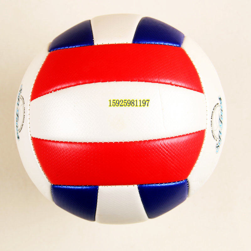 Ballon de volley-ball - Ref 2012558 Image 6