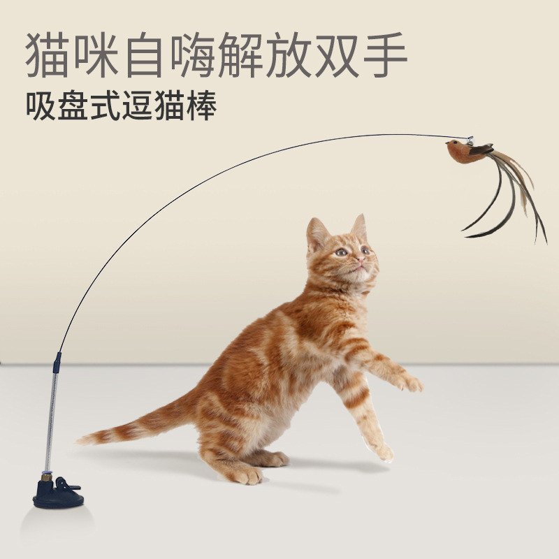 Simulation bird sucker wire feather funny cat stick replacement head cat supplies cat toys playable funny cat cat supplies