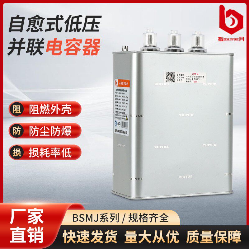 Measuring Monthly Group BSMJ0 69-30 35 40 50 60-3 1 Self-healing low voltage parallel power capacitor