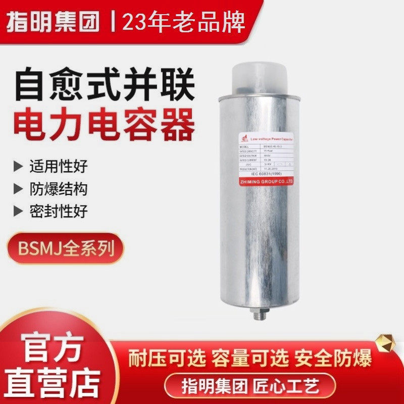 Describe the Group BSMJ0 48-15 20 25 30 - 3 cylindrical self - healing low voltage parallel electric capacitor
