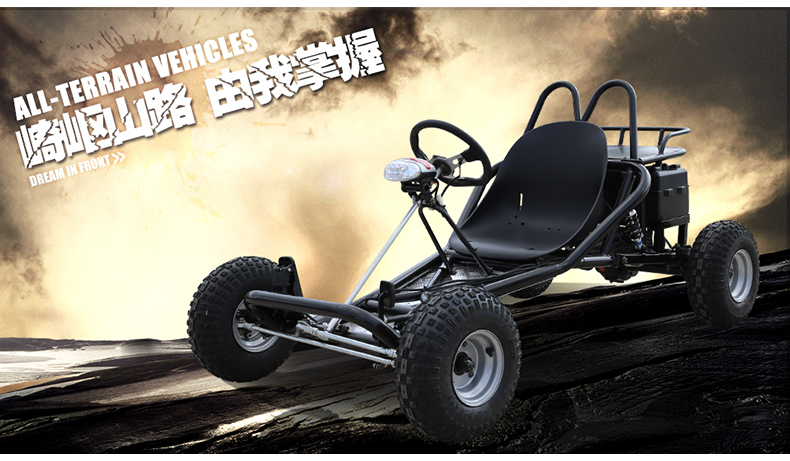 Dành cho người lớn sang trọng lớn đôi hai chỗ ngồi kart off-road ATV bốn bánh xe máy núi xăng xe máy