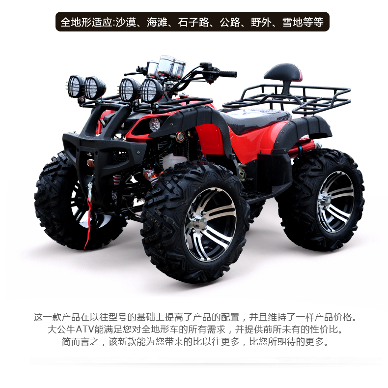 Big Bull 250CC ổ trục khác biệt tất cả các địa hình bốn bánh off-road ATV xe máy xe thể thao karting