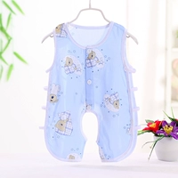 Сиамский медведь Пипа на синем фоне