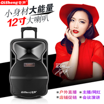 Qisheng tie rod outdoor square dance audio stall store promotion Huckleberry mobile Bluetooth charging belt K song live