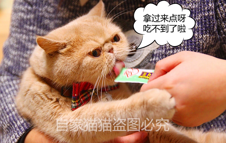 Alice Cat Strips Thịt luồng Cá ngừ Cá hồi Gà Tôm Cá hồi Cá mèo Ăn vặt 15gX8 thức ăn cho cún