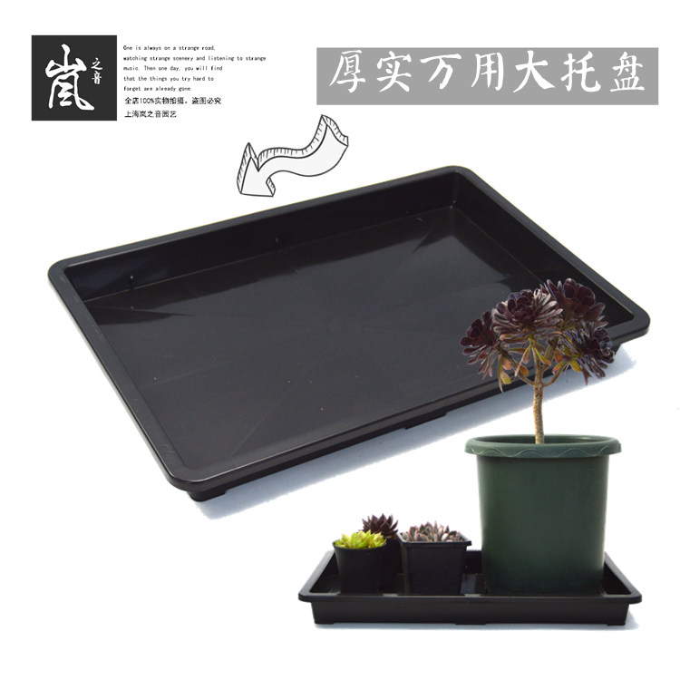Large tray for Lan's voice -- Horticultural cultivation Operating plate Multi-meat Immersion Water Box Plant Turnover Chassis-Taobao