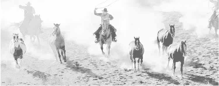 Tenue de travail en coton - Ref 1912916 Image 15