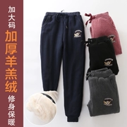 Mùa đông 2018 lamb cashmere dày quần thể thao chân cộng với quần nhung giản dị Quần Harlan Wei quần cotton cỡ lớn cho nữ